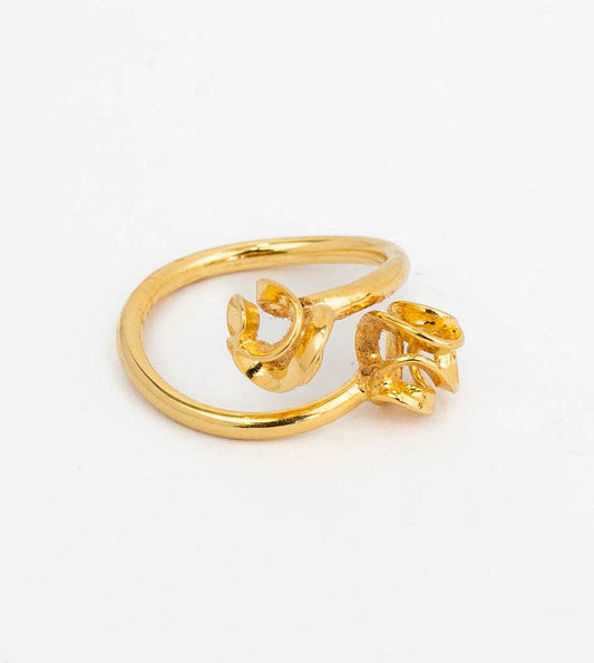 ANILLO ROLLO BAÑADO